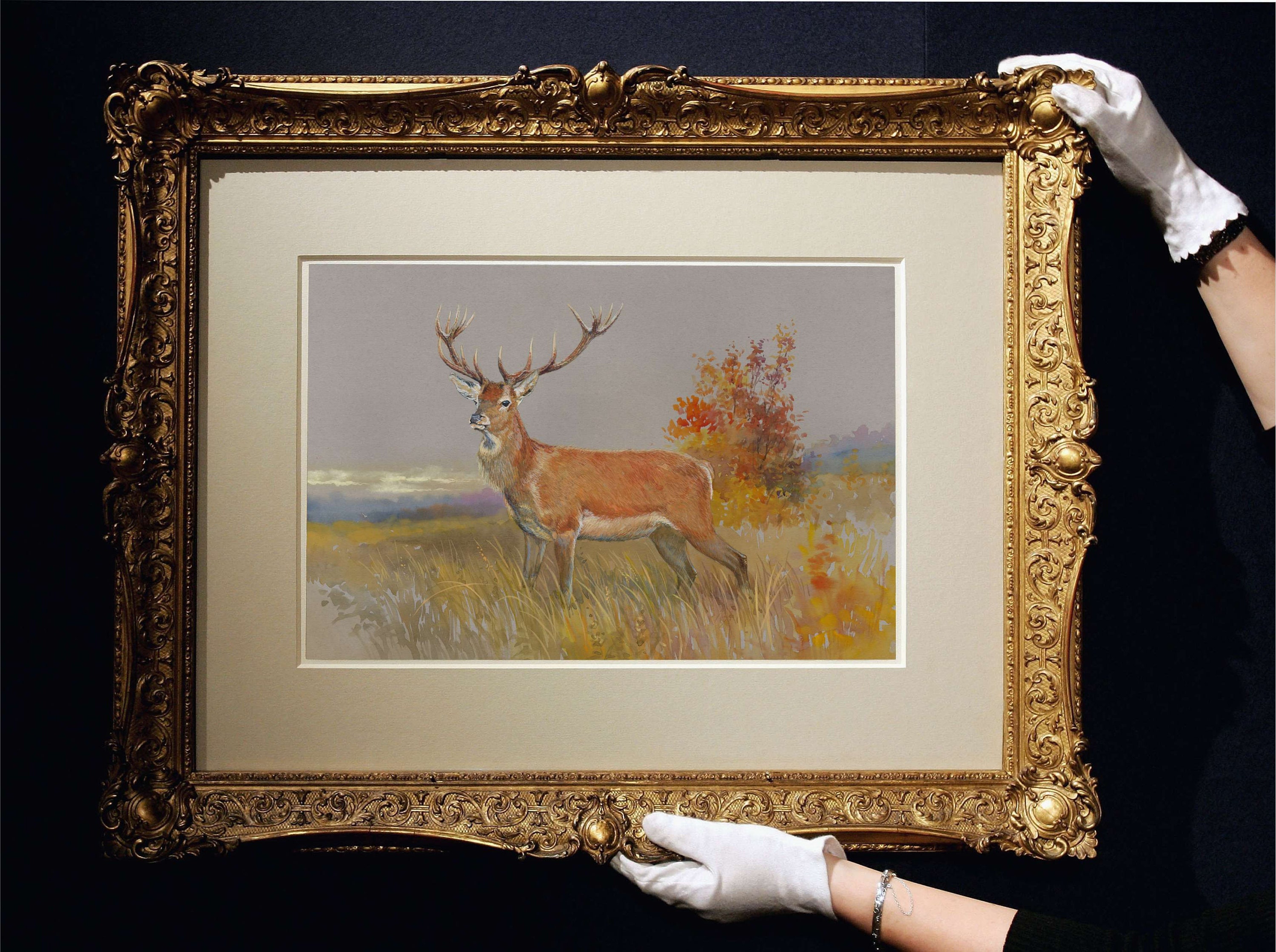 Elk Print. Elk Watercolor painting Elk wall art Stag wall Etsy