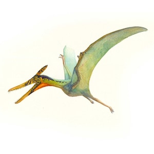 Pterodactyl Watercolor Art Print: Dinosaur Nursery Decor