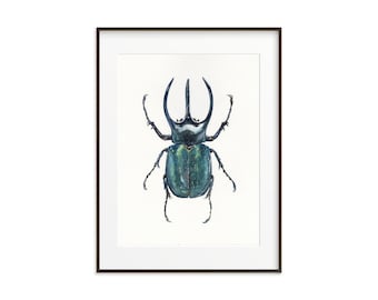 Scarab Beetle Watercolor Giclee Print: Insect Wall Art