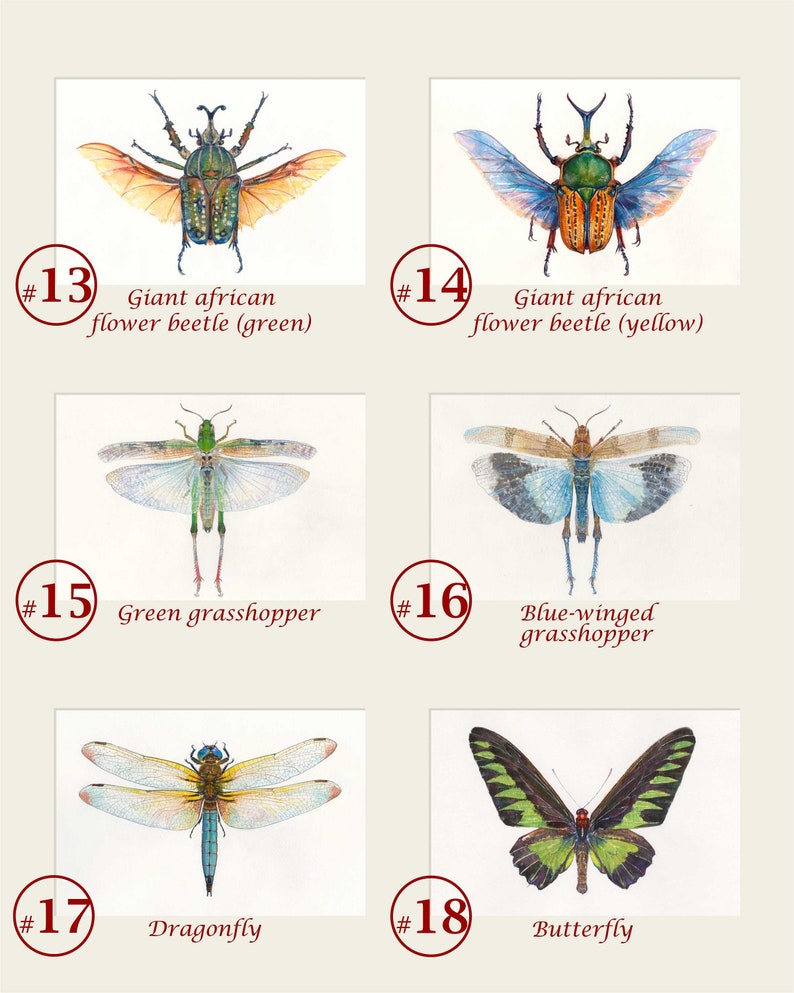Custom Insects Set. Insects Wall Decor. Insects Art Print. Etsy