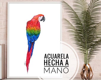 Guacamaya Macaw Watercolor Print of Colorful Macaw Parrot Printable Digital File JPG Wall Art Caracas Tropical Caribe