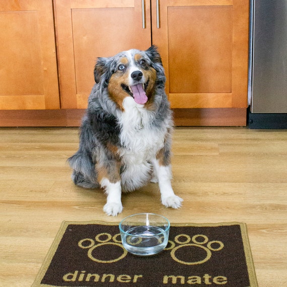 Pet Feeding Mat-Absorbent Dog Mat for Food and Water-No Stains Dog Food Mat-Quick Dry Dog Bowl Mat Cat Food Mat-Dog Accessories Pet Supplies-Dog