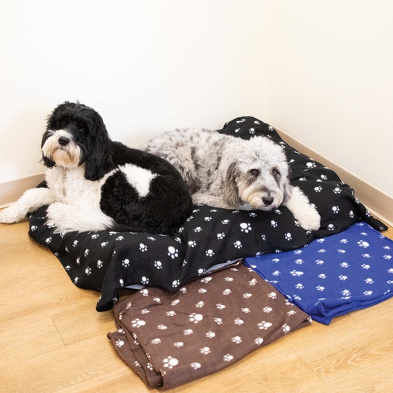 Dog design blanket new arrivals