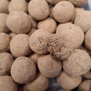 May include: A close-up of many round, light brown truffles. The truffles are coated in cocoa powder, giving them a textured look. Some are partially broken, showing the dark inside. The image is a top-down view, showing the truffles filling the frame.