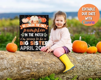 Pumpkin Big Sister Announcement Sign, Fall Big Sister Pregnancy Announcement, No Longer The Only Pumpkin In The Patch Sibling Announcement