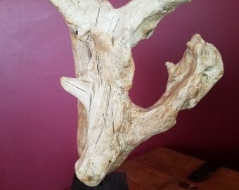 Maine driftwood sculpted by the waters in the beautiful Maine lakes. 111