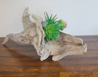 Maine Driftwood home décor with faux succulents