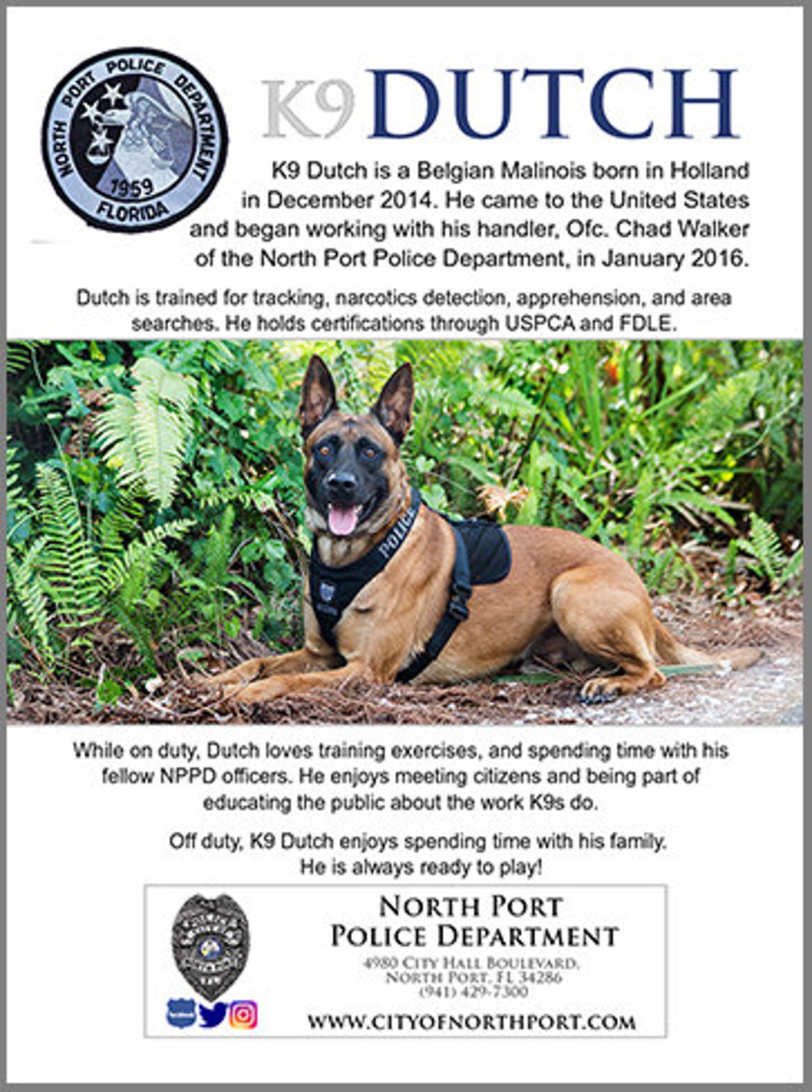 K9 Team Trading Cards Collectors Cards Community Policing Etsy