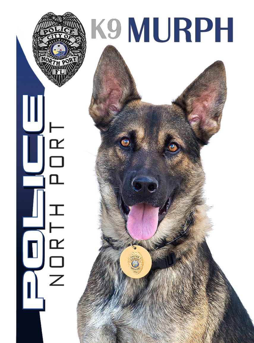 K9 Team Sammelkarten, Sammelkarten Community Policing