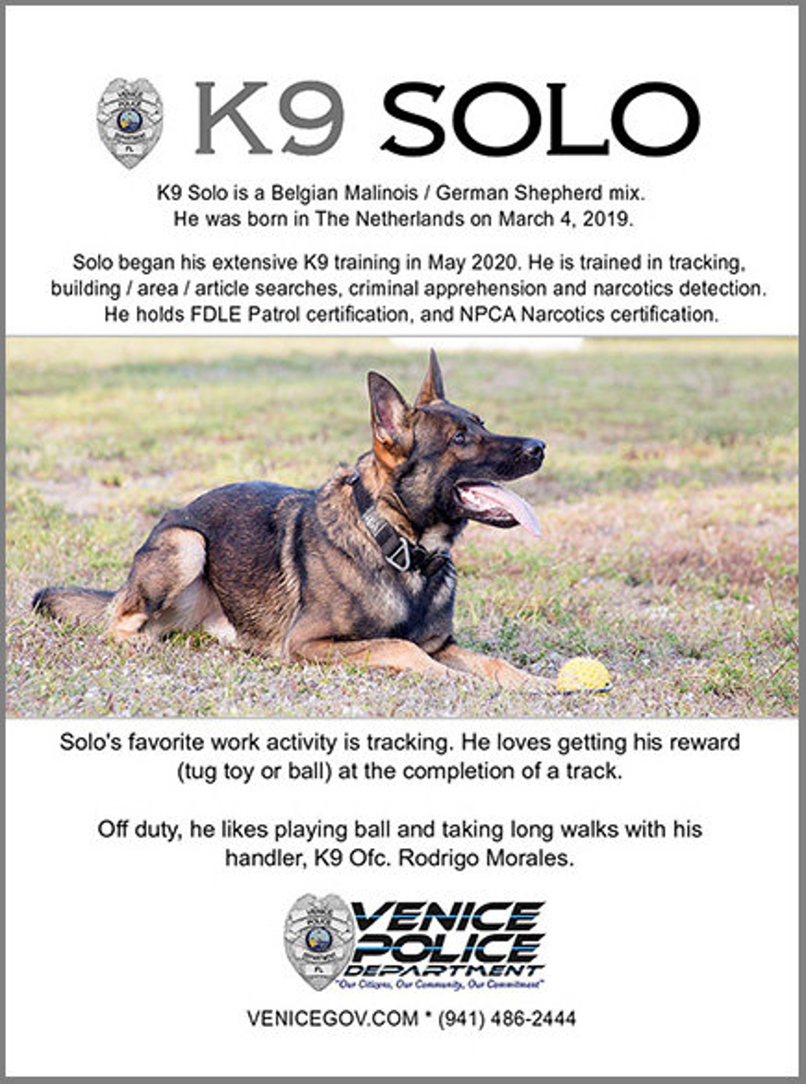 K9 Team Trading Cards Collectors Cards Community Policing Etsy