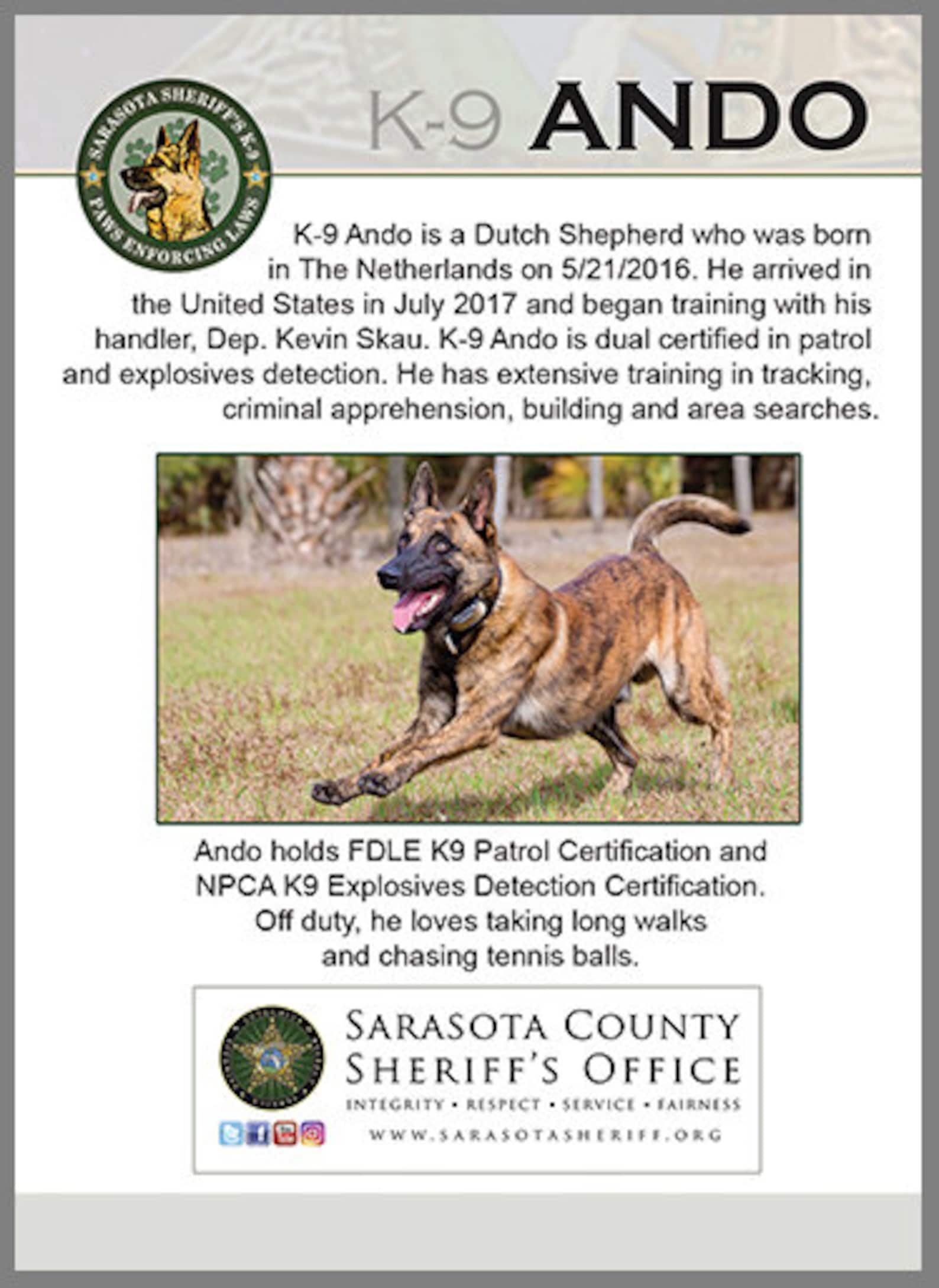 K9 Team Trading Cards Collectors Cards Community Policing Etsy