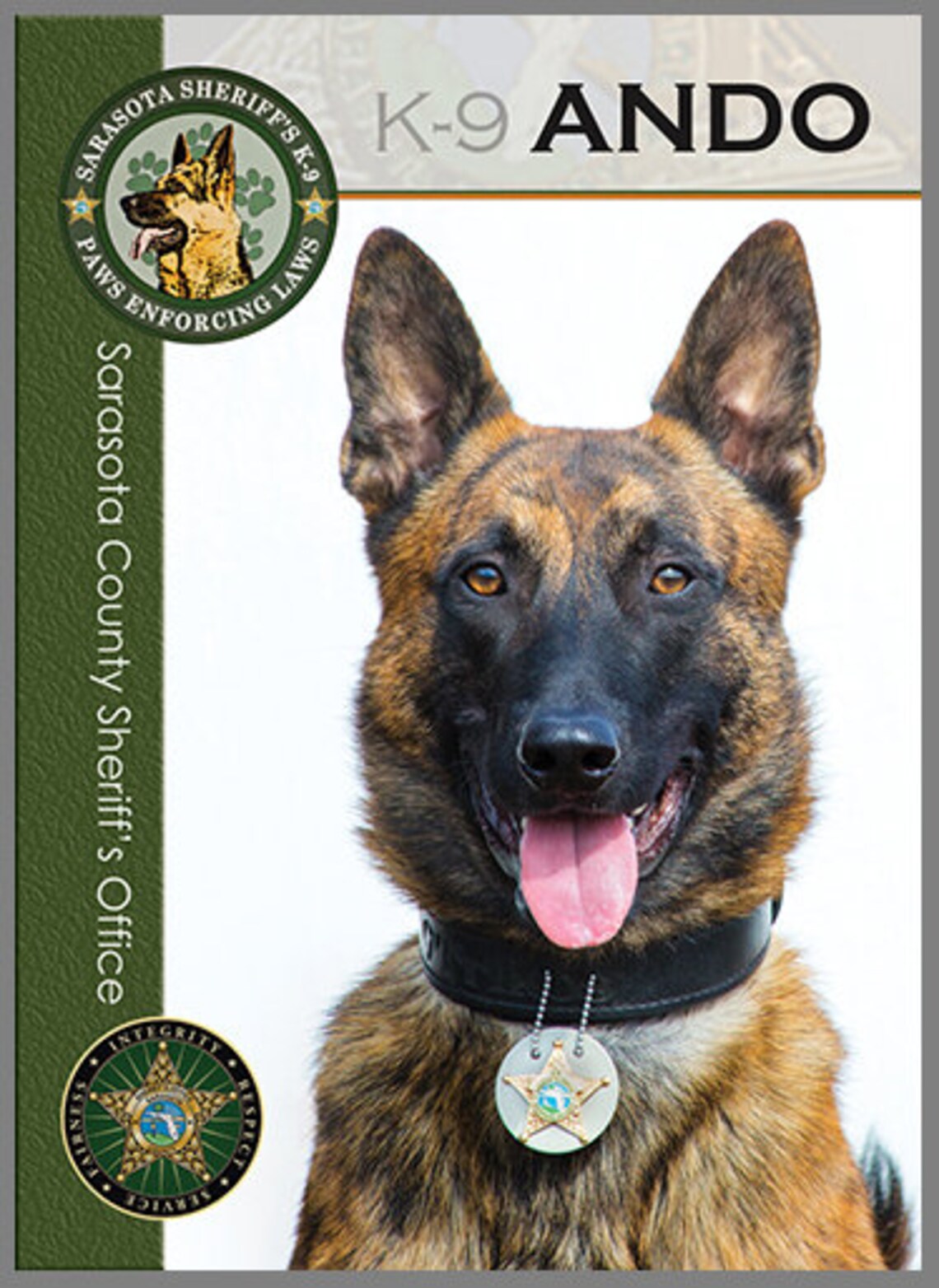 K9 Team Trading Cards Collectors Cards Community Policing Etsy