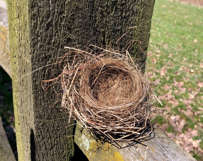 HORSEHAIR BIRDS NEST Real Nest Built by a Bird, Unique Horsehair Small
