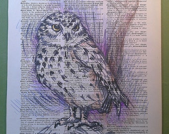 OWL DICTIONARY ART Original Owl Colored Drawing On Vintage Dictionary Page 8 1/4" x 10 3/4", Wildlife Original Art, Forest Animal Art