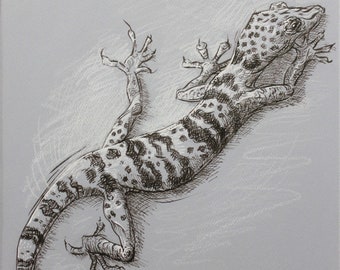 Gecko Drawing, Original Artwork, Lizard Art, Reptile Art, Outdoor Creature Art