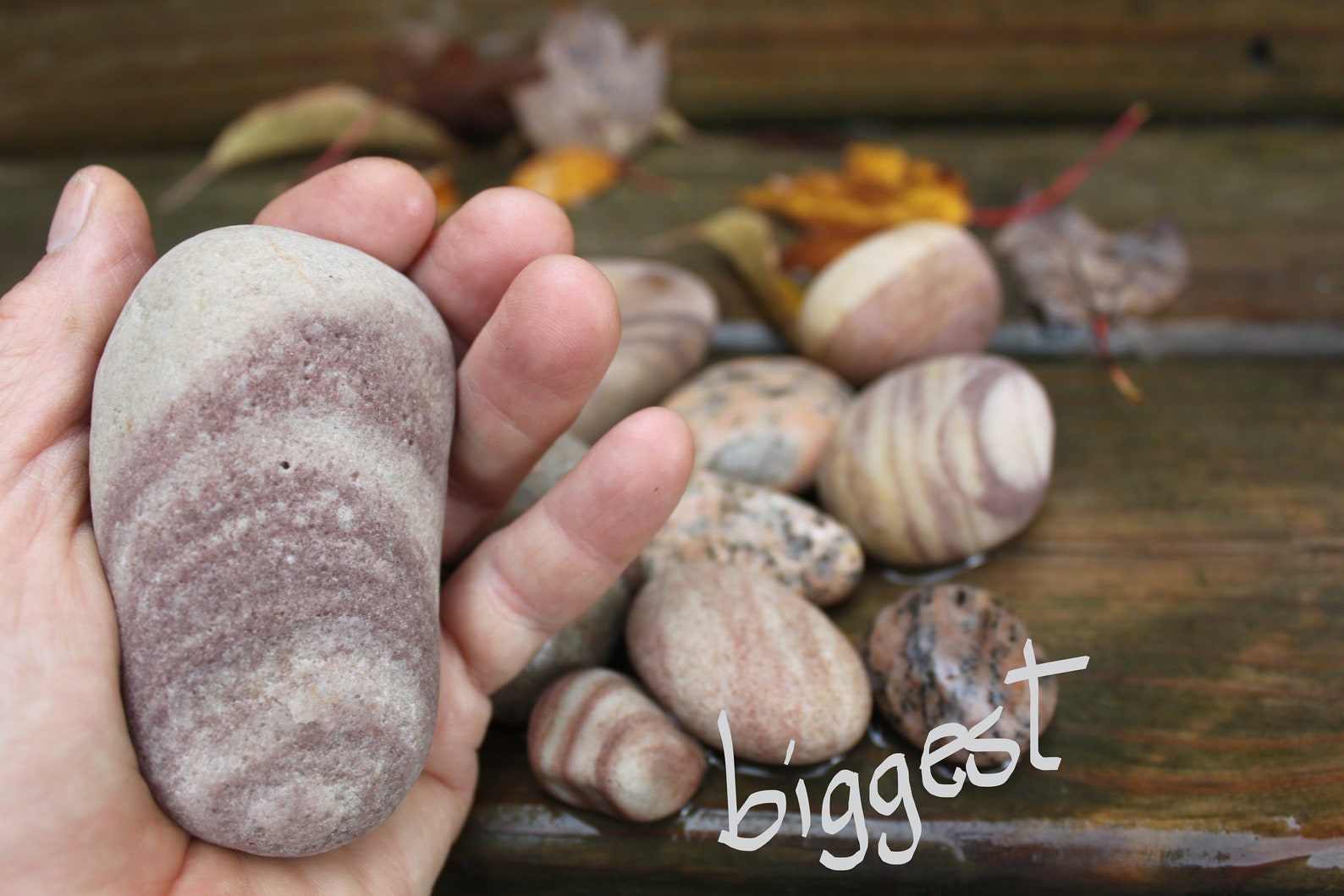 Lake Erie Beach Rocks Surf Tumbled Pastel Beach Stones Lake Etsy