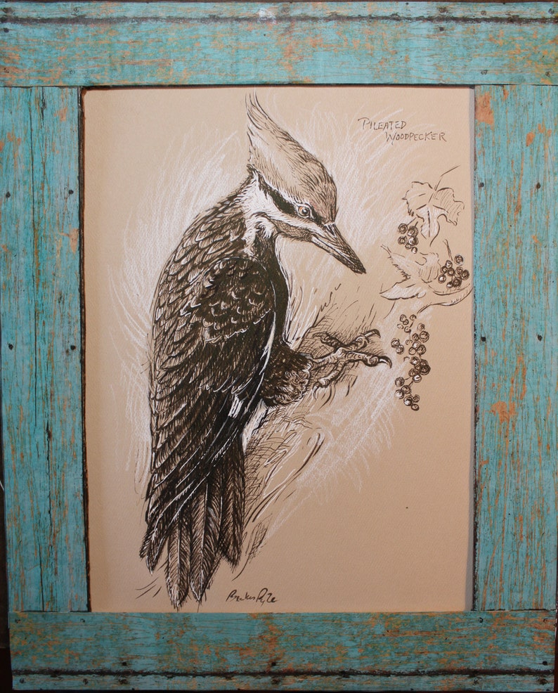 Pileated Woodpecker Drawing Original Artwork | Etsy
