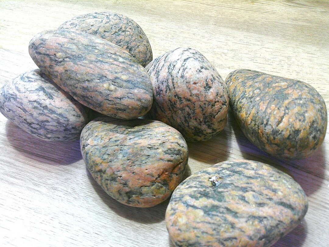 Fresh Look at Decorative Rock Lot 7 Patterned Beach Stones Decor For Aquariums
