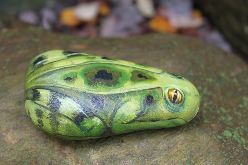 Frog Painted on Stone Painted Rocks Cute Frog Painted on | Etsy