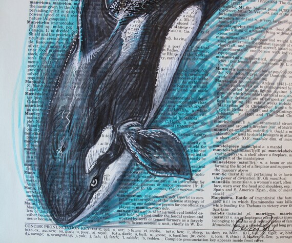 Dictionary Art Killer Whale Drawing On Dictionary Page Orca Etsy Dictionary Art Killer Whale Drawing On Dictionary Page Orca Etsy