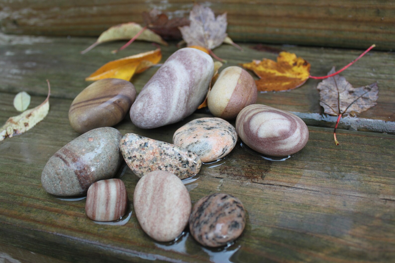 Lake Erie Beach Rocks Surf Tumbled Pastel Beach Stones Lake Etsy