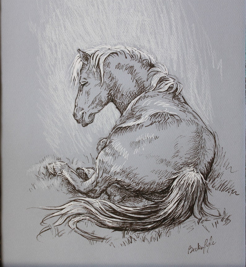 Horse Laying Down Original Drawing Western Art Rustic Ranch Etsy