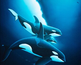 Beautiful Wyland Orca Trio Signed Canvas Print Limited Edition