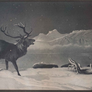 Edwin Henry Landseer Antique Print &quot;The Challenge&quot; Caribou in Snowy Landscape