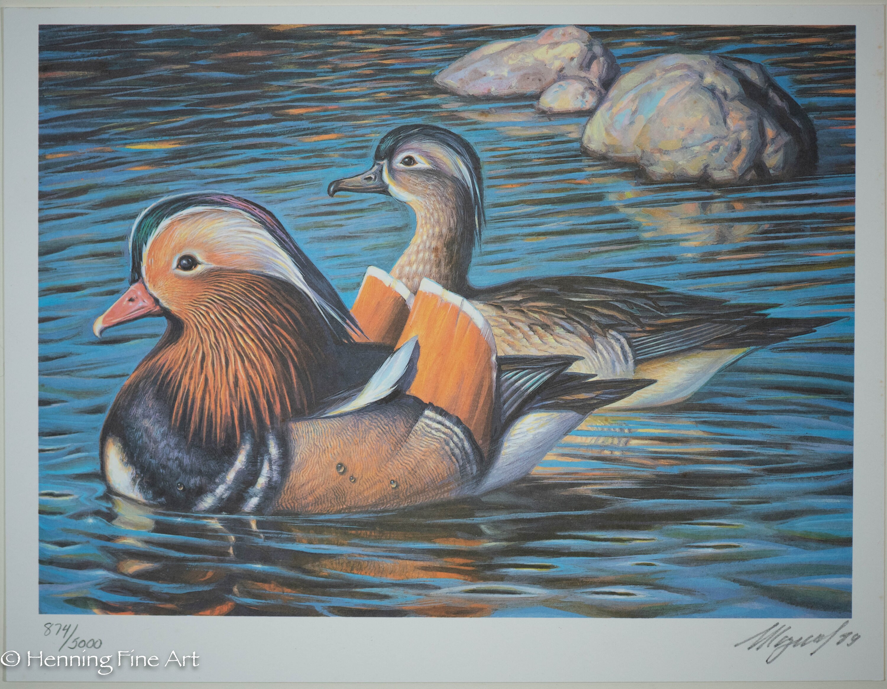 Ducks Unlimited Art 