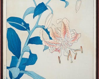 Stunning Kawarazaki Shodo Woodblock Original of Pink Lily Signed