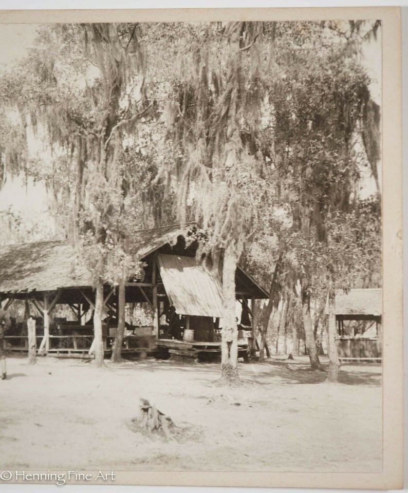 Historical Antique Military Candid Photograph C1900 Tampa Lakeland Florida 3439