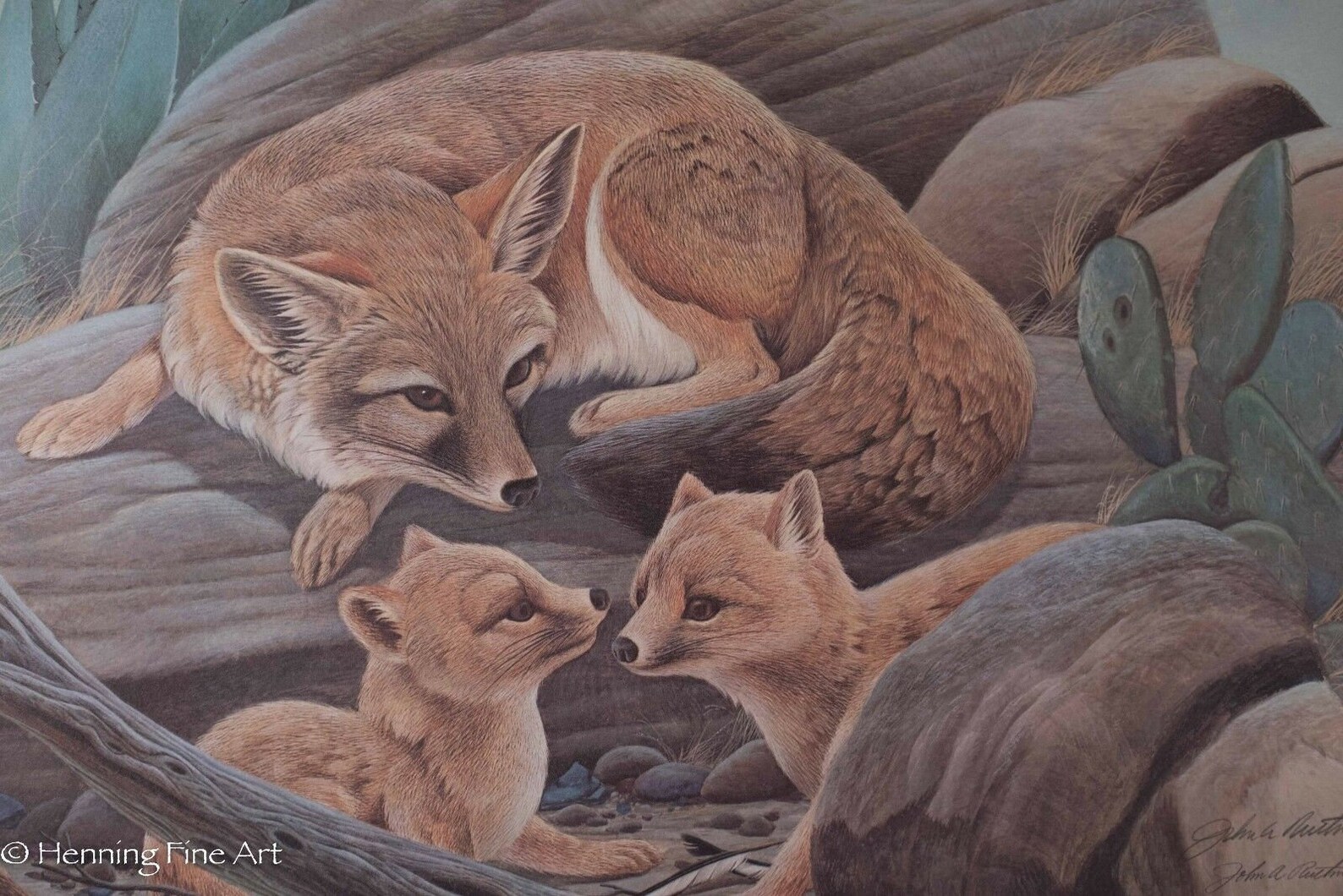 John Ruthven Signed Wildlife Lithograph kit Fox Etsy UK