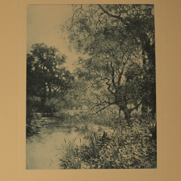The Meadow Brook" Antique Photo Etching by W. Hamilton Gibson BEAUTIFUL!