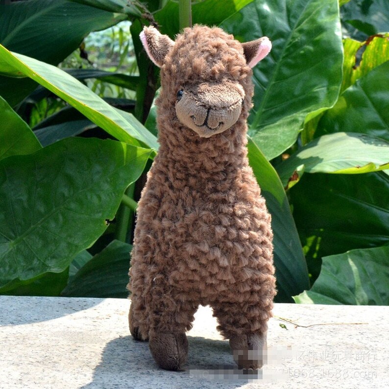 llama pillow pet