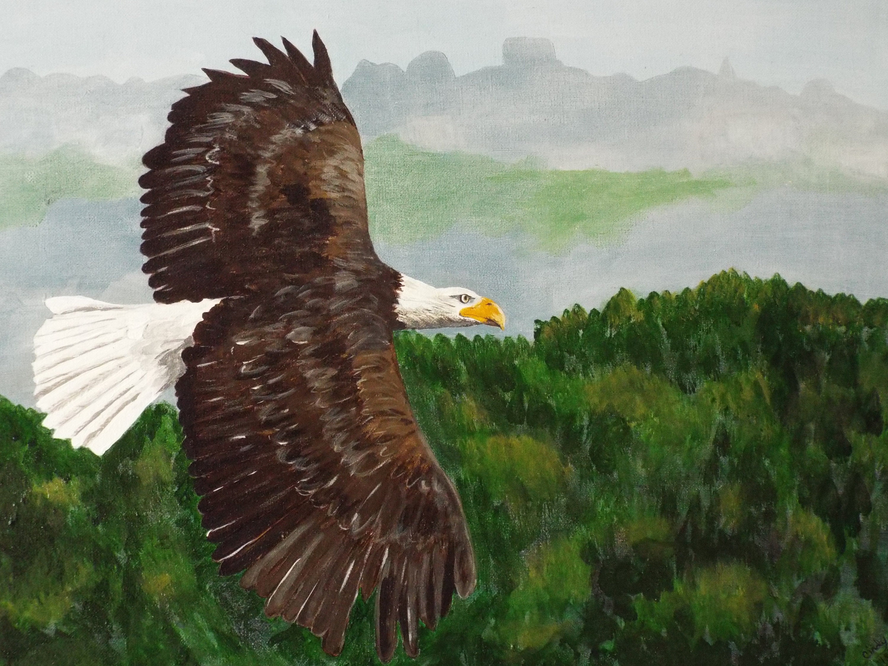 Painting on Canvas, Eagle Acrylic Painting, Eagle Flying Over Landscape
