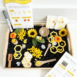 Accessoires voor Honey Bee-sensorbak met uitgebreide speelkaarten en activiteiten - voor peuters en kleuters - Honeycomb & Honey Receptkaart