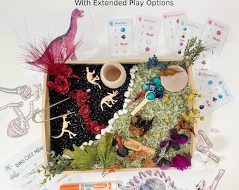 Dinosaur Sensory Bin Kit for Toddlers & Preschoolers | Montessori Dino Play Set | Fossil Dig Activity | Fine Motor Learning Toy