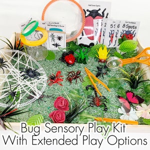 Bug Sensory Bin Zubehör mit erweiterten Spielkarten und Aktivitäten - Für Kleinkinder und Vorschulkinder - Insekten lose Teile Spinnen Schmetterling