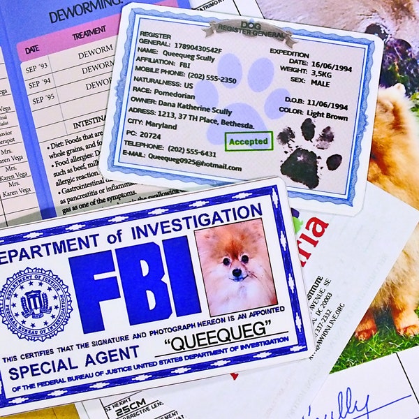 PET Dossier "Queequeg" FBI Dog of X-Files (Owner; Dana Scully).