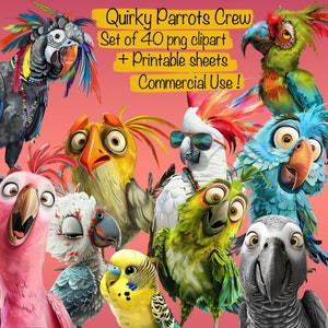 Conjunto de 40 divertidos y extravagantes loros clipart PNG + hojas imprimibles - ¡Para hacer tarjetas, kit de collage, diseño de camisetas, álbum de recortes, uso comercial!
