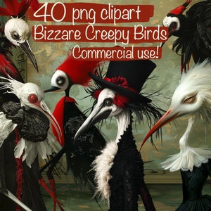 May include: A set of 40 digital clipart images featuring bizarre, creepy birds with black and white feathers, red accents, and whimsical details. The birds are depicted in a variety of poses, some with top hats and other accessories. The text "40 png clipart Bizarre Creepy Birds Commercial use!" is displayed at the top of the image.