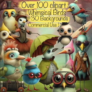 Grande pacote com mais de 100 clipart de pássaros peculiares e excêntricos em PNG + 30 fundos - para cartões DIY, colagem, scrapbook, diário de lixo, uso comercial!