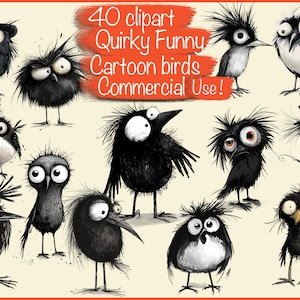 40 png clipart Quirky Funny Cartoon Birds, For Card Making,  Sublimation,  Collage kit, Junk journal,Scrapbook, Book, Commercial use !