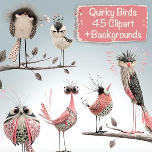 Pássaros peculiares 45 clipart + 15 fundos, criação de cartões faça você mesmo, suprimentos para diário, kit de scrapbooking, uso comercial!