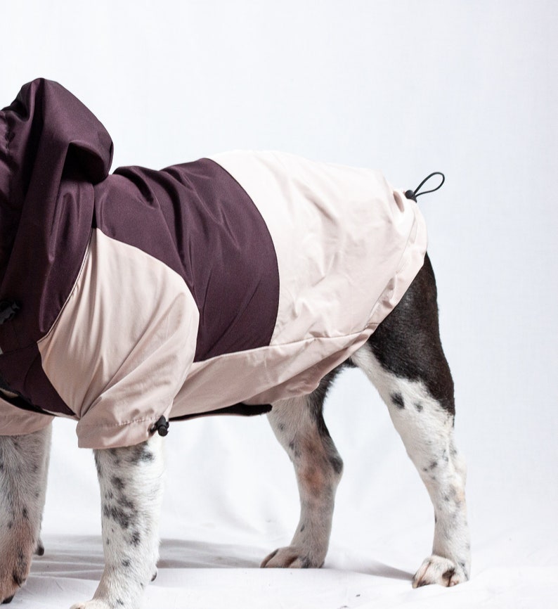 Impermeabile per cani, Impermeabile con felpa con cappuccio per cani, Cappotto in velcro per cani, Giacca antipioggia per cani, Cappotto idrorepellente, Taglia L e XXL, Impermeabile per cane immagine 6