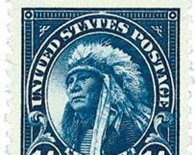 American Indian 14 Cent United States Postage Stamp Issued 1923