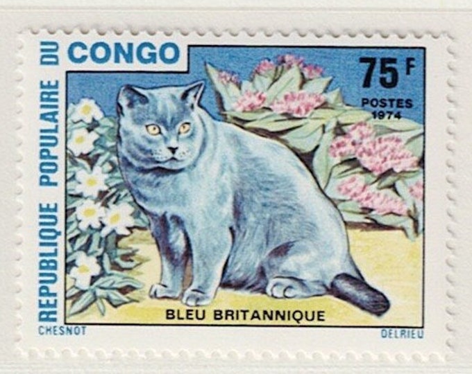 Cats Set of Four Congo Postage Stamps Issued 1974