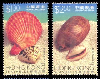 Seashells Set of Four Hong Kong Postage Stamps Issued 1997