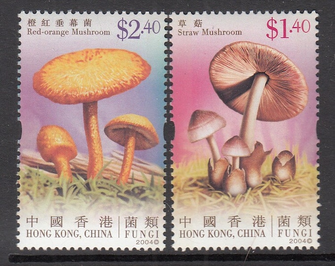 Mushrooms Set of Four Hong Kong Postage Stamps Issued 2004