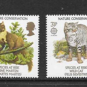 May include: Four vintage postage stamps from the United Kingdom featuring images of endangered animals. The stamps are white with a gold border and feature the text "Nature Conservation" and the price of each stamp. The animals featured are a barn owl, a pine marten, a wild cat, and a natterjack toad.
